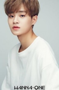 李大辉