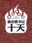 新市委书记十天